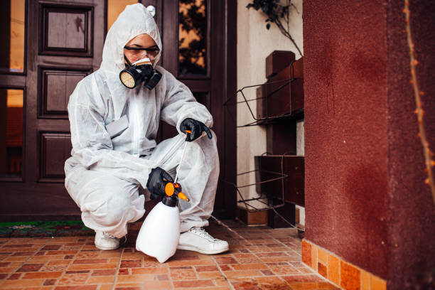 Attic and Crawl Space Rodent Treatment in Durham